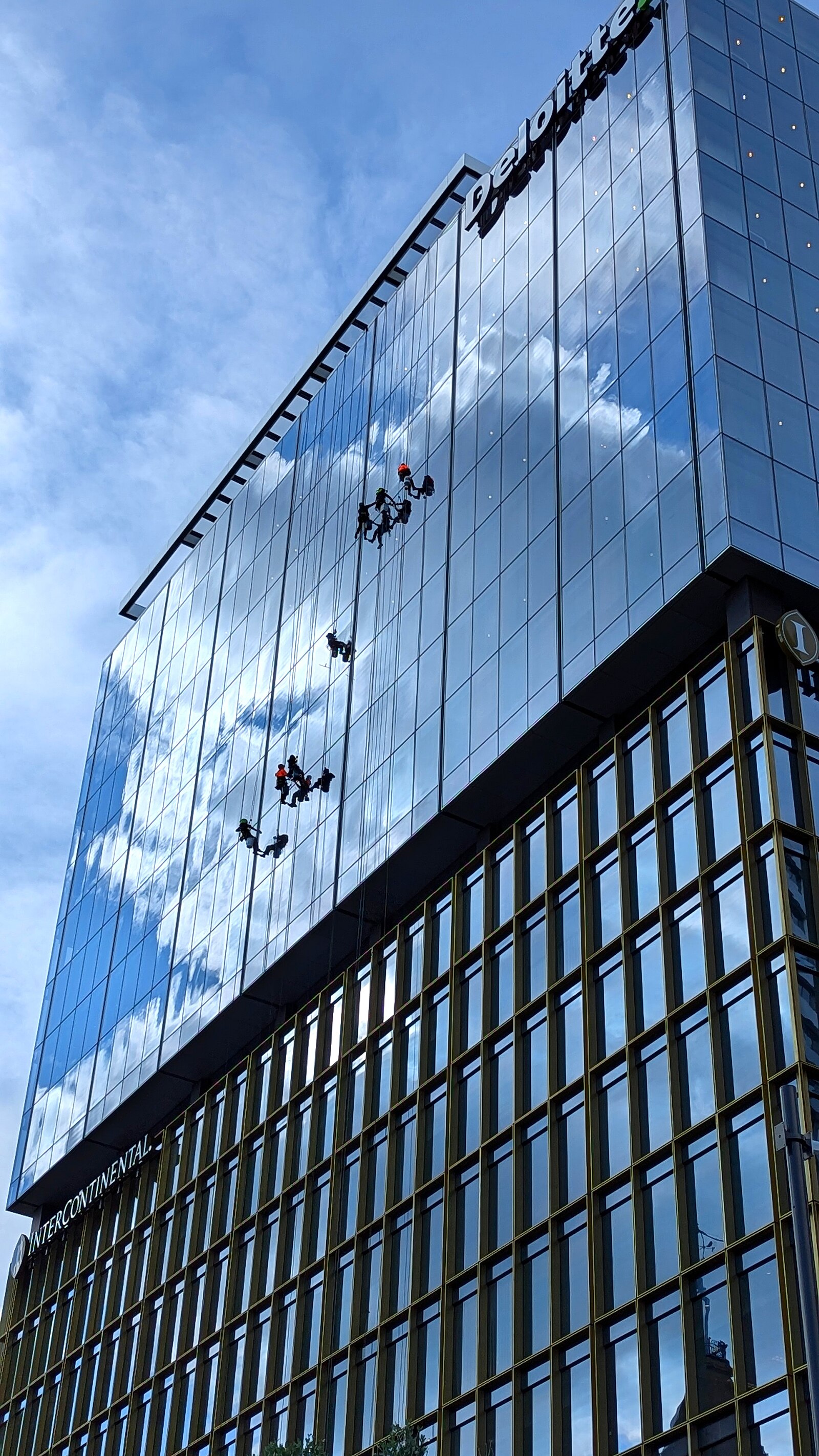 奥克兰 街景与日常 (Auckland Street Scene and Daily Life)