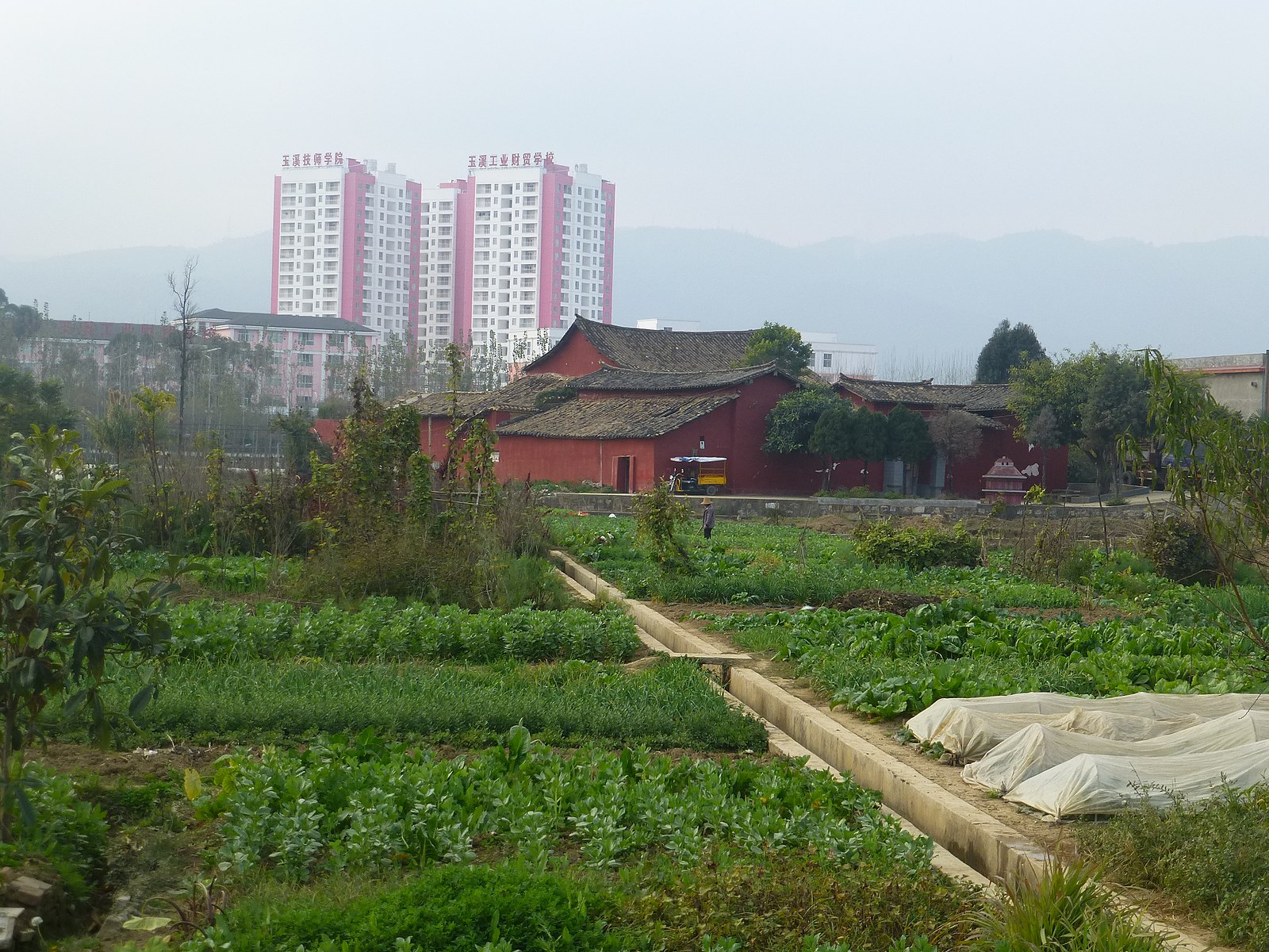 红塔区北侧城区与农田交界